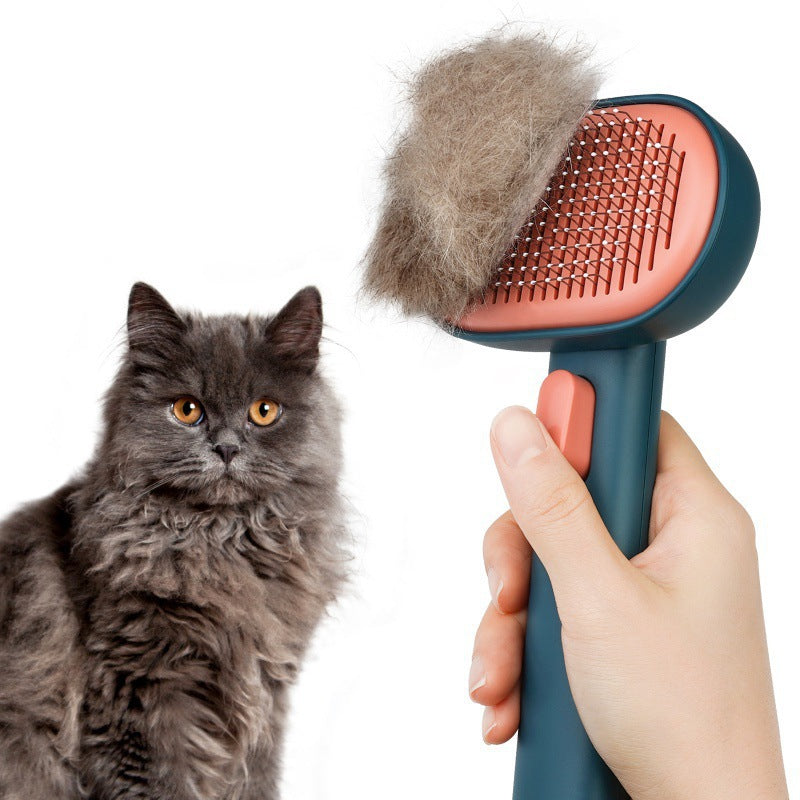 Cat being groomed with a pet grooming brush on a white background